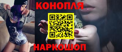 крисы Нальчик