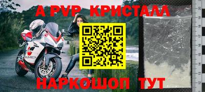 крисы Нальчик