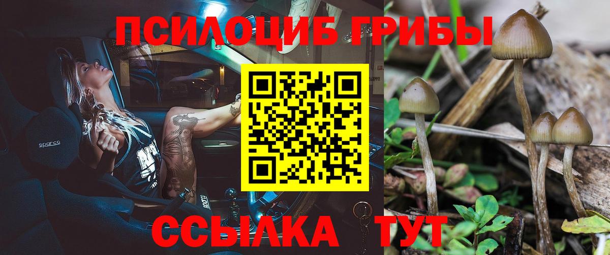 Галлюциногенные грибы Psilocybine cubensis Дюртюли